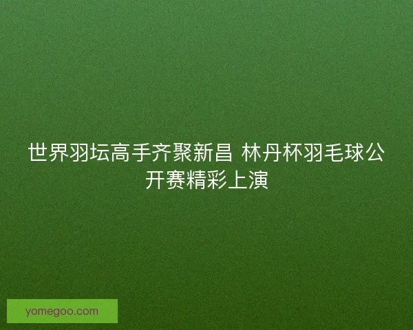 世界羽坛高手齐聚新昌 林丹杯羽毛球公开赛精彩上演